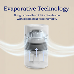 Levoit Superior™ Studio Evaporative Humidifier
